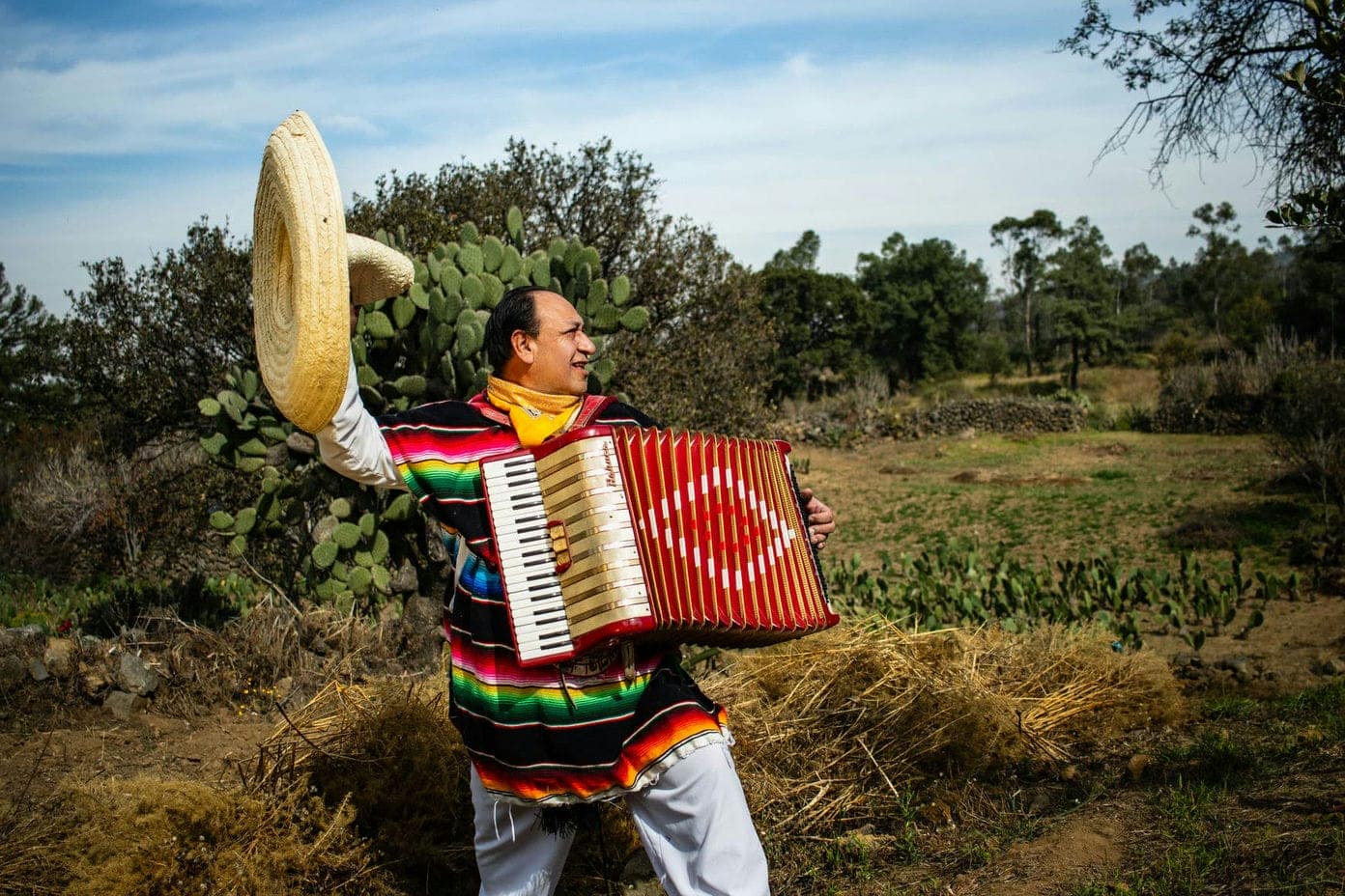 Fotografia de la galeria